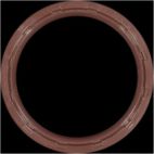 Engine Crankshaft Seal