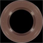 Engine Crankshaft Seal