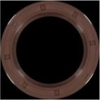 Engine Crankshaft Seal