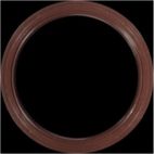 Engine Crankshaft Seal