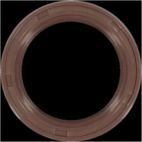 Engine Crankshaft Seal