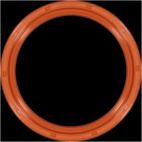 Engine Crankshaft Seal