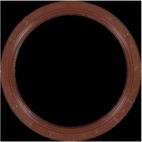 Engine Crankshaft Seal