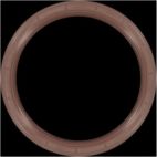 Engine Crankshaft Seal