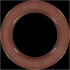 Engine Crankshaft Seal
