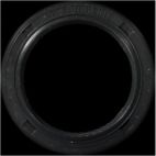 Engine Crankshaft Seal