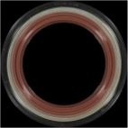 Engine Crankshaft Seal
