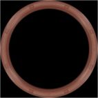 Engine Crankshaft Seal