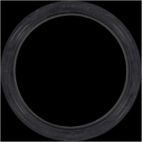 Engine Crankshaft Seal