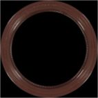 Engine Crankshaft Seal