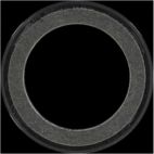 Engine Crankshaft Seal