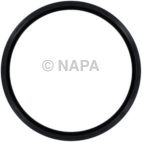 Engine Crankshaft Seal