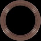 Engine Crankshaft Seal
