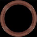 Engine Camshaft Seal