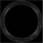 Engine Crankshaft Seal