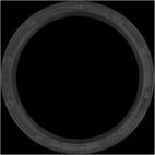 Engine Crankshaft Seal