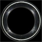 Engine Camshaft Seal