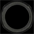 Engine Crankshaft Seal