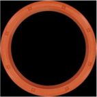Engine Crankshaft Seal