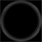 Engine Crankshaft Seal