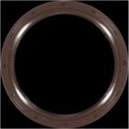 Engine Camshaft Seal