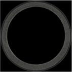 Engine Crankshaft Seal