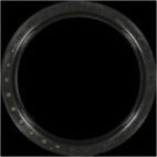 Engine Crankshaft Seal