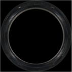 Engine Crankshaft Seal