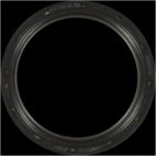 Engine Crankshaft Seal