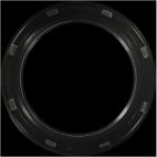 Engine Crankshaft Seal