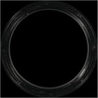 Engine Crankshaft Seal