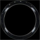 Engine Crankshaft Seal