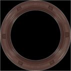 Engine Crankshaft Seal