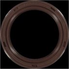 Engine Crankshaft Seal