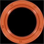 Engine Crankshaft Seal