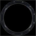 Engine Crankshaft Seal