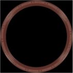 Engine Crankshaft Seal