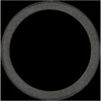 Engine Crankshaft Seal