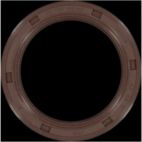 Engine Crankshaft Seal