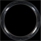 Engine Crankshaft Seal