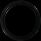 Engine Crankshaft Seal