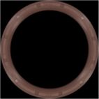 Engine Crankshaft Seal