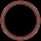 Engine Crankshaft Seal