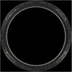 Engine Crankshaft Seal