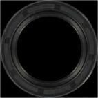 Engine Crankshaft Seal