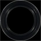 Engine Crankshaft Seal