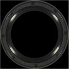 Engine Crankshaft Seal