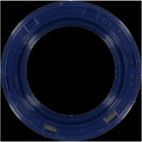 Engine Crankshaft Seal