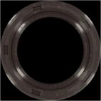 Engine Crankshaft Seal