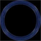 Engine Crankshaft Seal